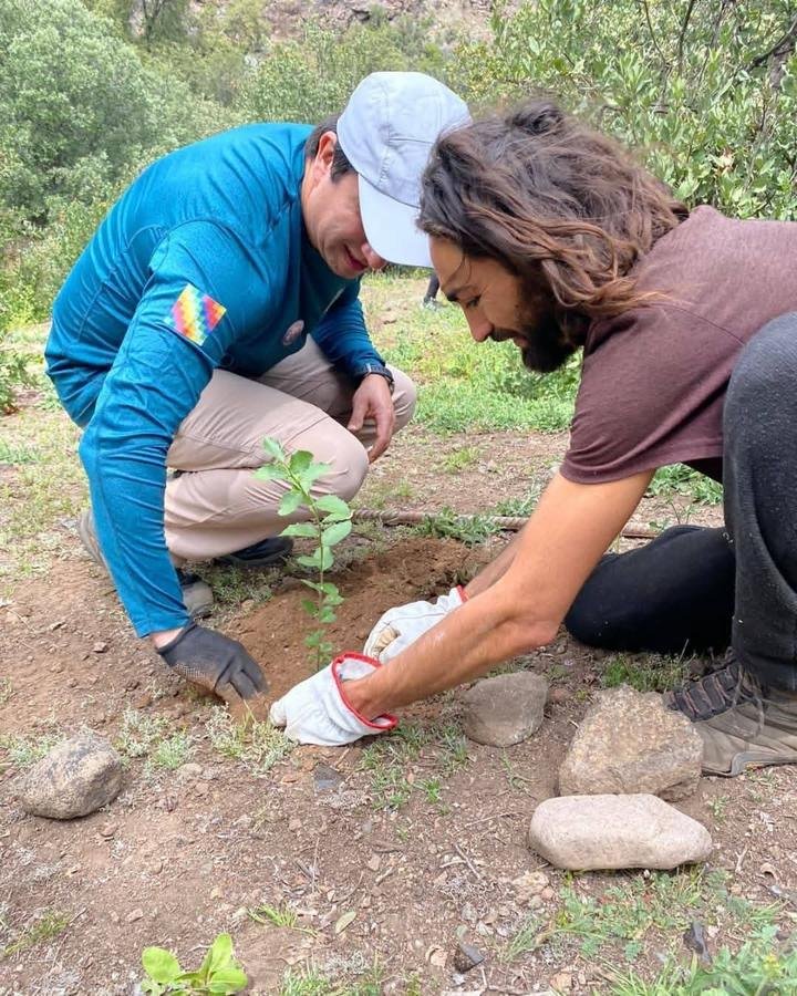 Voluntarios plantando un árbol nativo